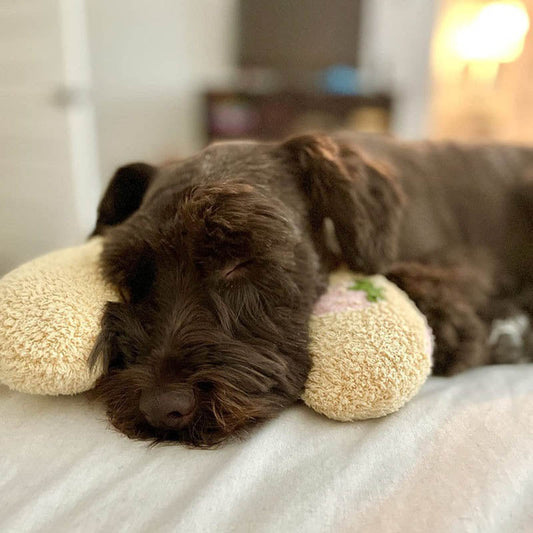 CozyPaws™ The Ultimate Comfort Pillow